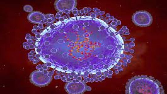 خبراء يحذرون من فيروس خطير “مختبئ”